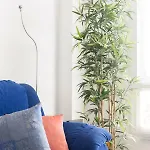 Centro Ramos 아파트 *