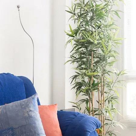 Centro Ramos Appartement *