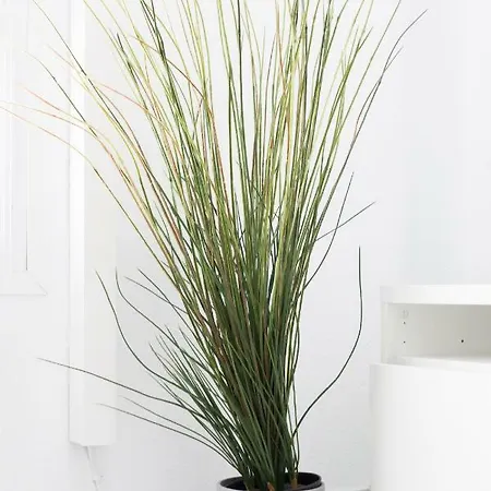 Appartamento Centro Ramos *