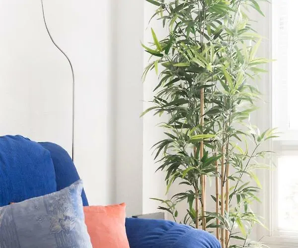 Centro Ramos Apartment *