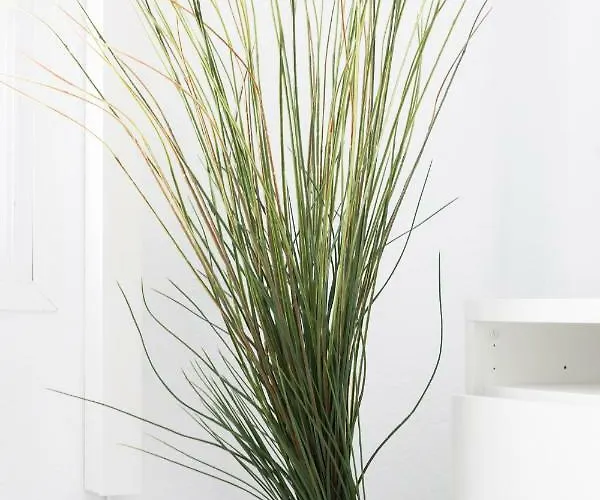 Apartment Centro Ramos *